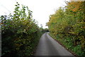 Narrow Lane, Motts Mill