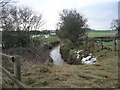 The Stell upstream of Butt Wath Bridge