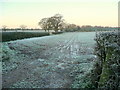 Fields near Corse Lawn