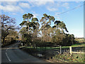 Road near Willow Farm, Heveningham