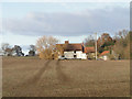 Hollytree Farm from across the field