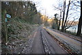 A footpath to Challowell lane running alongside Buckland wood