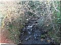 The Burren River below the Burren Bridge on the A25