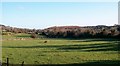 View southeastwards along the flood plain of the Burren River