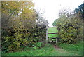 Sussex Border Path off Rosemary Lane