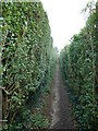 Mid section of footpath from Stein Road to Breach Avenue