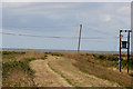 Sea Wall Footpath