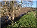 River Teign at Chudleigh Knighton