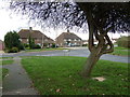 Looking from Cooks Lane into Stein Road