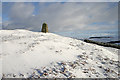 A cairn on Teindside Hill