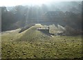 Dam, Totnes