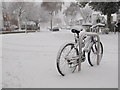 Bike in the blizzard.