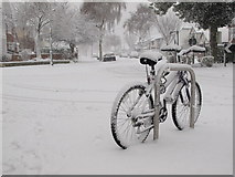 TQ9185 : Bike in the blizzard. by william