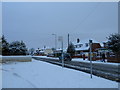 A snowy scene in Park Lane