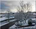 Alcombe Road, on a snowy morning