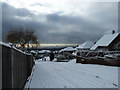 Looking down a snowy Beverley Grove (ii)