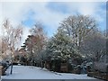 Matford Avenue in snow