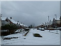 A snowy Grant Road (1)