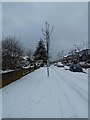 A snowy Grant Road (3)