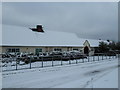 Solent Junior School on a snowy December morning