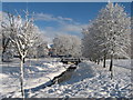 Roath Brook in Roath Park, Cardiff