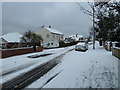 December snow in Solent Road (f)