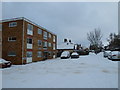 A snowy Hilldore Court