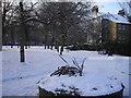 A Snowy Westfield Park, Chelsea