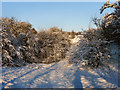 Path To Farm Lodge Reservoir