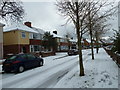 Winter trees in Lealand Road