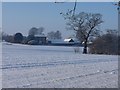 Pearse Hay Farm