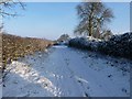 Bridleway to Pearse Hay Farm