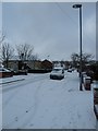 Lampposts in a snowy Lealand Road