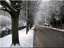 TL4556 : Brooklands Avenue in the snow by John Sutton