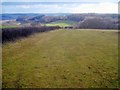 Sheep pasture above Old Lodge