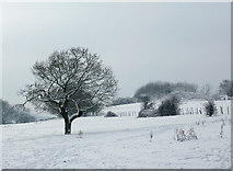 SO9095 : Snow covered pasture on Colton Hills, Staffordshire by Roger  Kidd