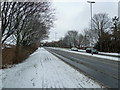 Recent snow on the Eastern  Road