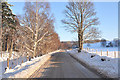 Minor road near Carron