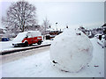 Large Snowball, London N14