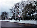 Bus Stop, Cannon Hill, London N14