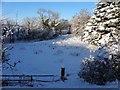 Frosty field, Cranny