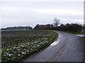 TM3982 : Butts Road, Cox Common by Geographer
