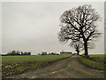 Entrance to Grove Farm, Linstead Parva, Suffolk