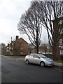 Winter trees approaching the junction of Norfolk Road and Yorke Street