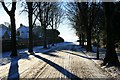 Snow tracks on Chessel Avenue