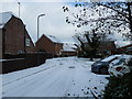 Looking from Waterworks Road into a snowy Knight Gardens