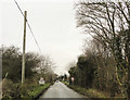 Road into Wissett from Halesworth (B1123)