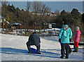 Group of sledgers