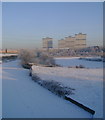 Frozen canal