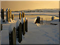 NK0025 : Newburgh: winter in Holyrood cemetery by Martyn Gorman